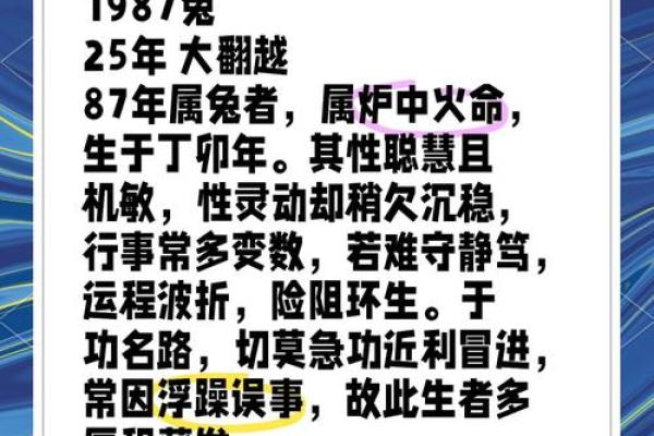 兔年12月究竟是什么命？深度解析与人生启示