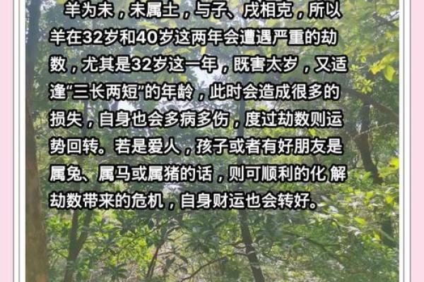 探寻43属羊人的命运之路：他们的性格与人生轨迹