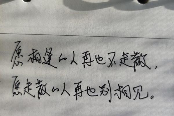 12月12日出生的人，命运与性格的深度探索