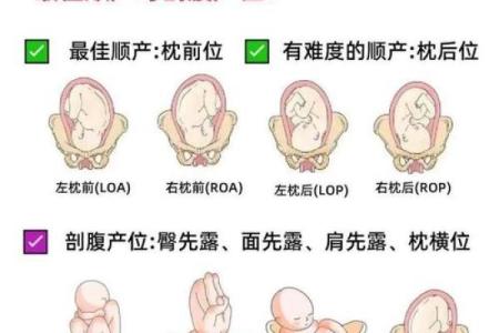 生儿子的命运之谜：从命理看孩子的未来
