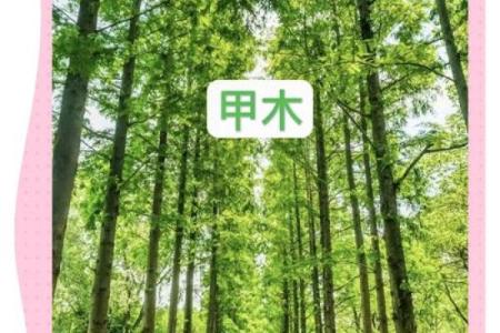探索木命的神秘：如何根据出生年份判断你的命运