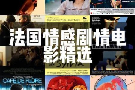 《探寻“不是命”背后的情感与文化魅力》