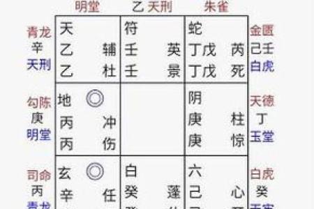 72年女鼠命运分析：成功与挑战并存的生活轨迹