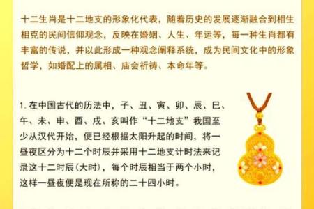 探索食命之谜：揭开生肖背后的秘密
