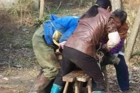 农村屠夫命短的背后：生活、职业与命运的交织