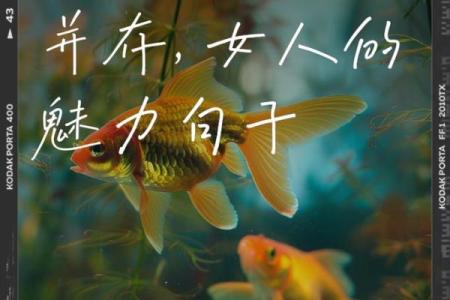 揭秘漂亮女人的命格：容颜背后的命运与智慧