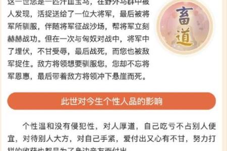 探秘前世今生：算命如何揭示你前世的命运轨迹