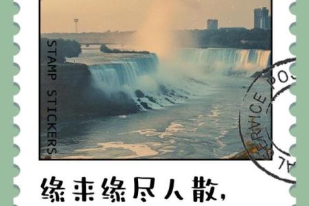 缘也是命：探寻人生中的不可控与宿命交错