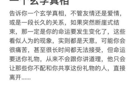 童子命的人适合什么类型的伴侣？探索心灵的契合与爱情的真谛