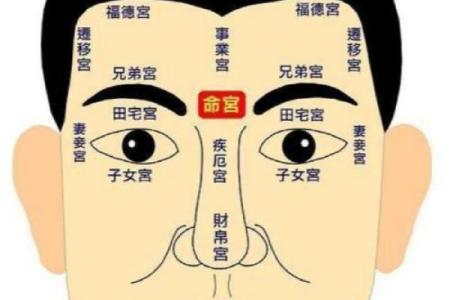 男人弯眉毛的命运解读：人生的隐秘信号与性格特征