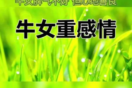 属牛之人的成长与命运：探索命理之美