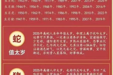 57岁龙年命解读：如何迎接人生巅峰的机遇与挑战
