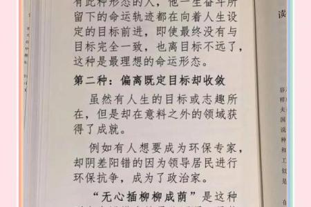 掌握命运的密码：解析你的命运类型与人生轨迹