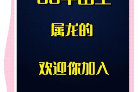 属龙之人的命运解析：让我们一起探索他们的精彩人生