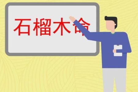 探秘石榴木命：适合的职业选择与发展之路