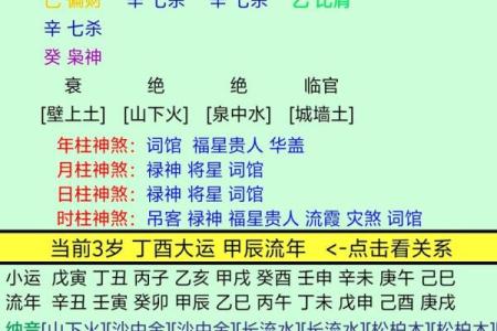 深度解析：壬申年出生者的命运与人生轨迹