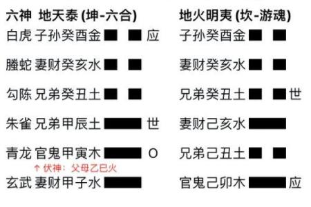 探索命卦与变卦：解读易经的奥秘与应用