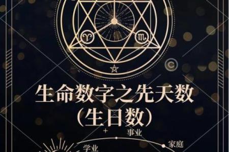 什么是平均余命年龄？解密生命长度的奥秘与启示