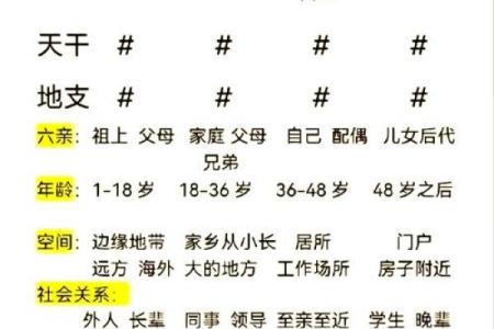 揭开命运的面纱：根据出生年份洞悉你的人生轨迹