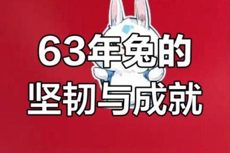 兔年12月究竟是什么命？深度解析与人生启示