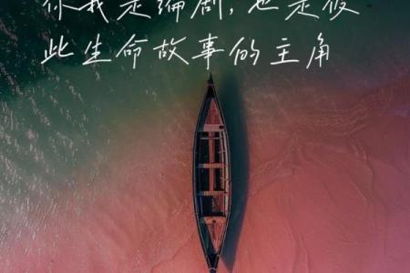 探寻“命头硬”的深意与人生启示