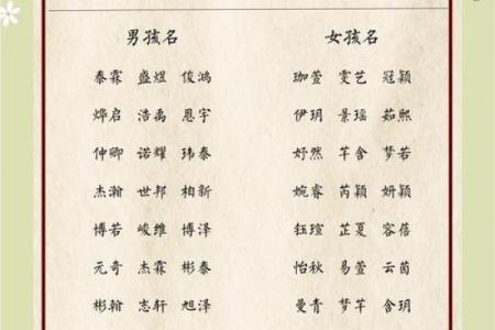 兔年男生命名指南：给兔宝宝选择幸运名字的艺术