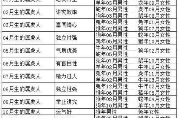 属虎生于腊月，探究其命理与个性特征的深度解析