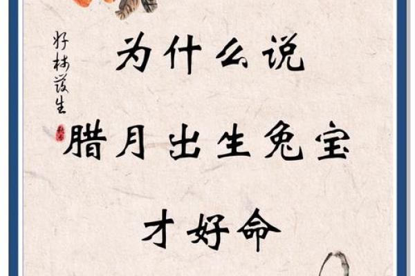 兔年出生的你，命格与运势详解！当年兔子是何命？