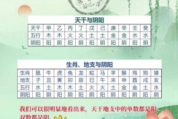 己亥癸卯年诞生的命运探秘，解读生肖与五行的奥秘