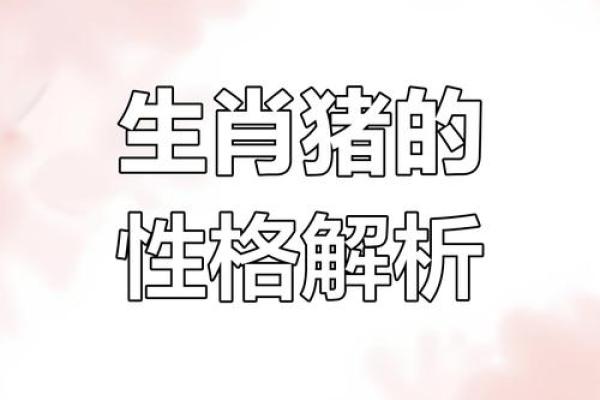 鸡年属猪的人命运分析及性格特征