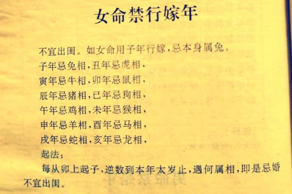 探秘：狗年冬月出生的人命运解析与人生智慧