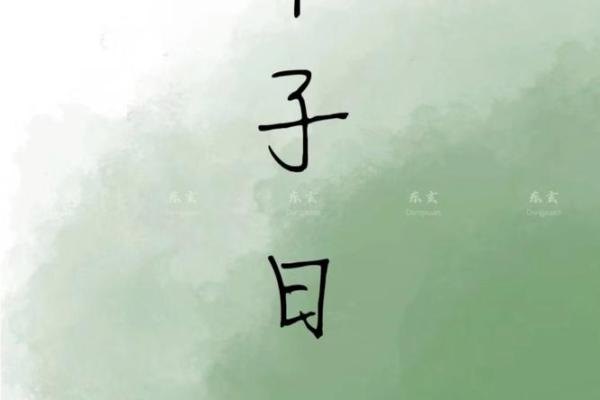 探秘甲子日柱的命理奥秘与人生启示