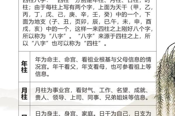 探寻命理奥秘：八字与四柱的神秘联系