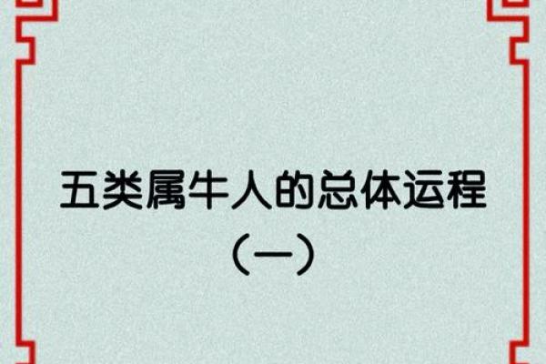 探秘1997年牛年的命运与性格特征