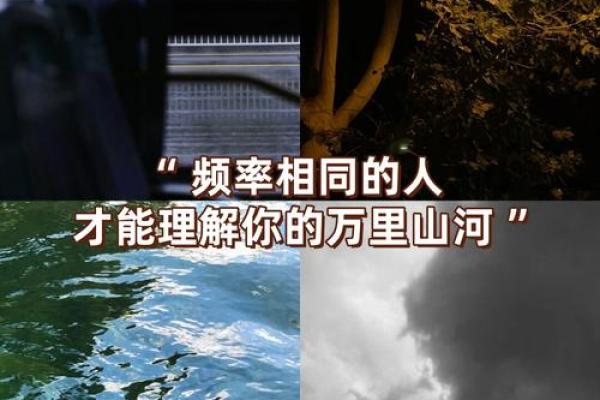 借命人：命运背后的无形交易与人生的选择