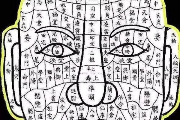 揭开面相的秘密：男左女右的命格解析与人生启示