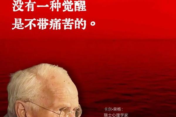 丁酉年冬月廿九：命理与人生的命运解析