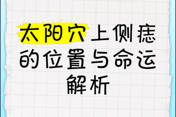 丁酉年冬月廿九：命理与人生的命运解析