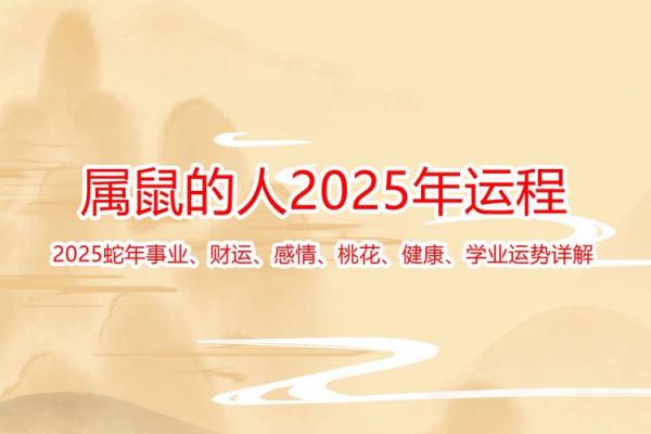 1972年生肖解析：鼠年出生的人生与命运