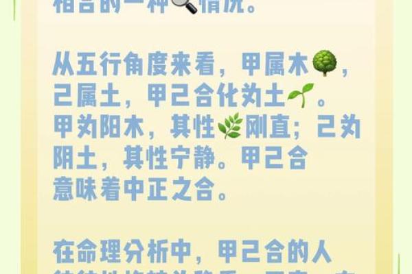 己酉年：探索命理之美与人生哲学的交汇点