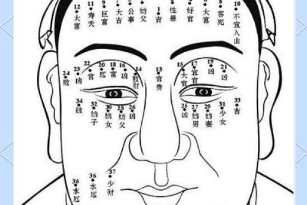 眉毛断开的人预示什么命运？解密眉相与性格的奥秘