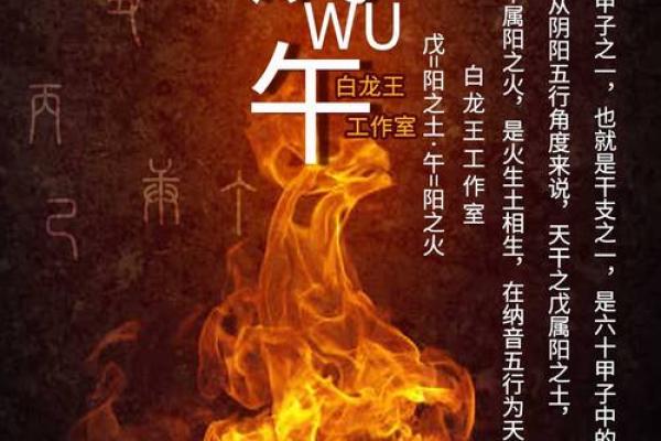 探秘十大贵命命格日柱，揭示你命中的财富与机遇！