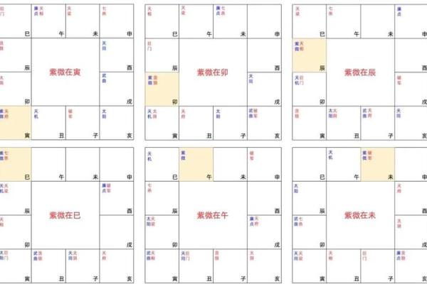 紫微命格揭秘：最佳命格与人生机遇的完美结合