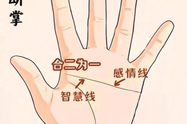女人右手假断掌的命运解析：揭开命理的神秘面纱