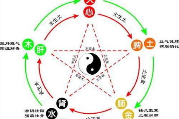 太阳火命与相克关系探秘：命理中的阴阳平衡之道