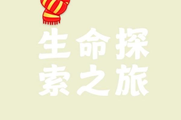 探索命义：揭示生命的深层意义与应用