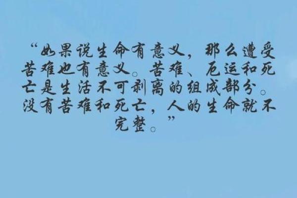 探寻“清命”的深刻意涵与生活启示
