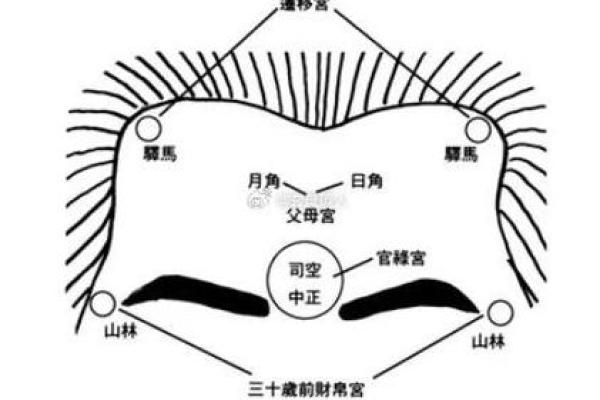 揭秘额头长子剑的命理含义与人生轨迹
