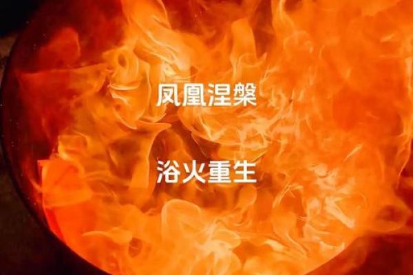 炉中火命：生活与运势的数字探索