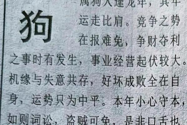 1970年属狗女性命运解析：从八字看人生轨迹与志向